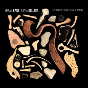 Download track Augustus Kieran Kane, Rayna Gellert