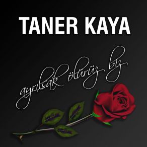 Download track Ayrılsak Ölürüz Biz (Dj Cem Taşçinten Remix) Taner KayaDj Cem Taşçinten