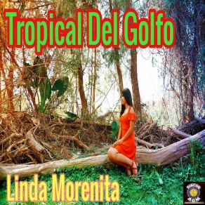 Download track Soy Tropical Del Golfo