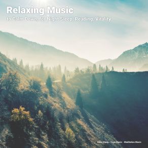 Download track Genial Ambient Music Meditation Music