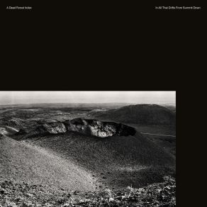 Download track In Greyness The Water A Dead Forest Index