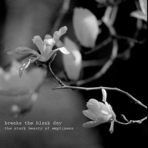 Download track Forever Looking In Breaks The Blank Day