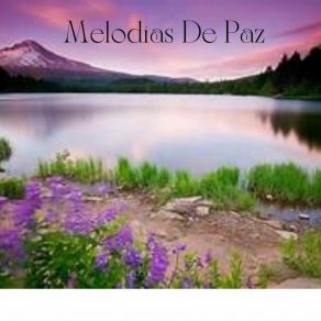 Download track Serenidad Profunda Del Alma Mauricio Paz