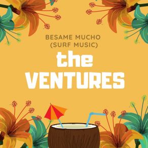 Download track Hernando's Hideaway (Original Mix) The Ventures