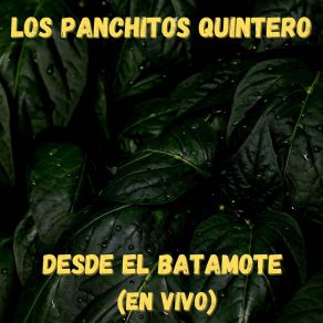 Download track Promesa Cumplida (En Vivo) Los Panchitos Quintero