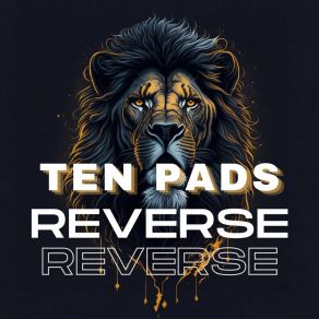 Download track Ten Pads F Reverse LUCAS AUGUSTO CAMPOS DA SILVA