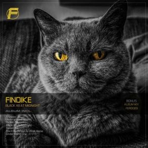 Download track Underground Station Findike