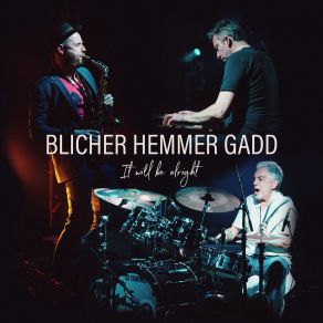 Download track Lady Tambourine Steve Gadd