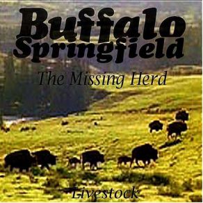 Download track Bluebird Buffalo Springfield