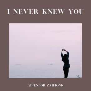 Download track Someone Waiting For Me Adieneor Zaifionk