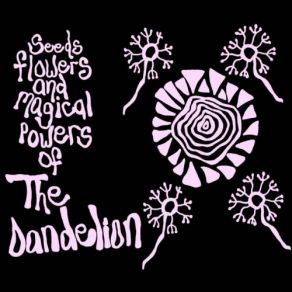 Download track Daddy Long Legs Dandelion