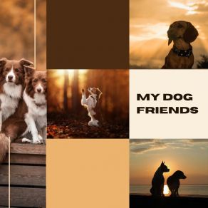 Download track Endless Entertainment Dog Music Therapy