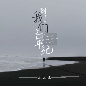 Download track 到了我们这个年纪 (伴奏版) 红小乐