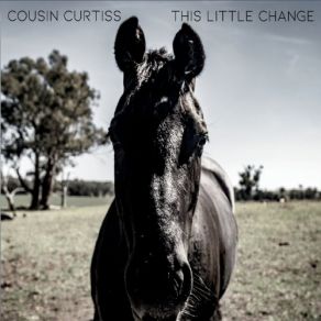 Download track Porcelain Heart Cousin Curtiss