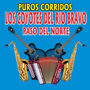 Download track Los Tequileros Los Coyotes Del Rio Bravo