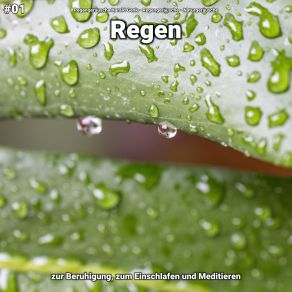 Download track Regen, Pt. 44 Naturgeräusche