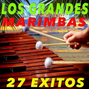 Download track El Salto Del Conejo Los Grandes Marimbas