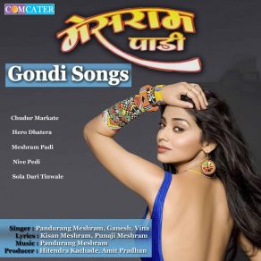 Download track Nive Pedi Pandurang Meshram