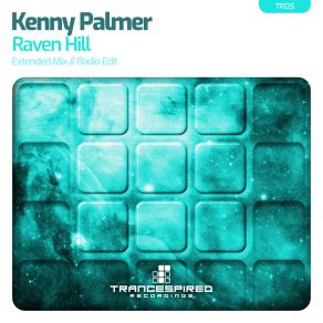 Download track Raven Hill (Radio Edit) Kenny Palmer