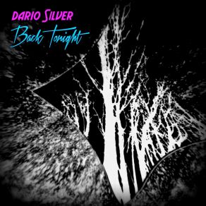 Download track Back Tonight (7 Instrumental) Dario Silver