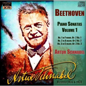 Download track 07 Beethoven Piano Sonata 2 - 3rd Mvt. - Scherzo And Trio - Allegretto Ludwig Van Beethoven