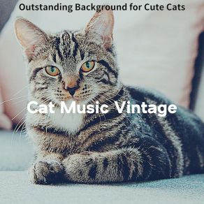 Download track Background For Cats Cat Music Vintage