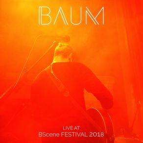 Download track Every Little Thing (Live At BScene Festival 2018) Baum