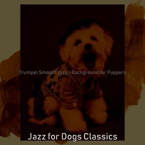 Download track Terrific Music For Dog Walking Jazz For Dogs Classics