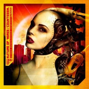 Download track Cyber Rendezvous (David Burdick Remix) CountessM, Nature Of Wires