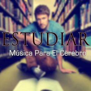 Download track Mr Grey's Theme Musica Para Estudiar