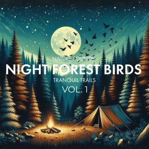 Download track Birds Under The Stars Tranquil Trails