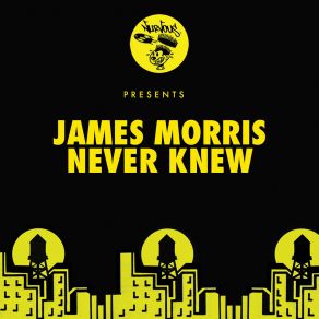 Download track Never Knew (Bumblee Remix) James Morris