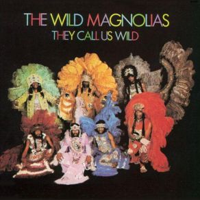 Download track Fire Water The Wild Magnolias