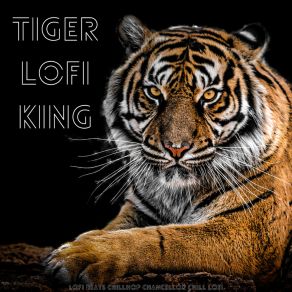 Download track Tiger Lofi King LoFi Chill