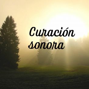 Download track Curación Sonora Ritmos Revitalizantes