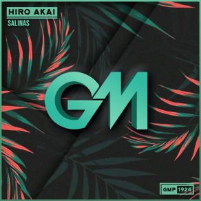 Download track Salinas (Radio Edit) Hiro Akai