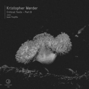 Download track Critical Tool 03 (Juan Trujillo Remix) Kristopher Morder