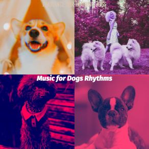 Download track Brilliant Backdrops For Lonely Dogs Music For Dogs Rhythms