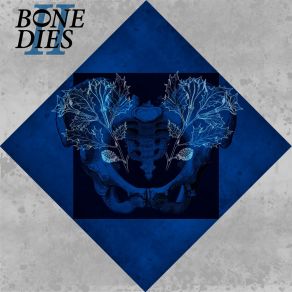 Download track Neandertal Bone Dies