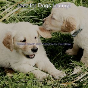 Download track Quiet Walking Dogs Jazz For Dogs Lounge