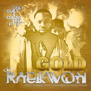 Download track Striving For Perfection Raekwon