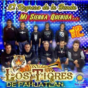 Download track Rogaciano El Huapanguero Los Tigres De Pahuatlan