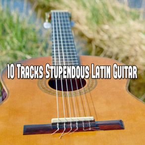 Download track Gaillarde Gypsy Flamenco Masters