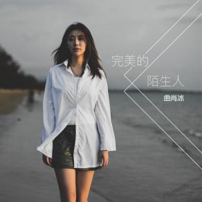 Download track 完美的陌生人 曲肖冰