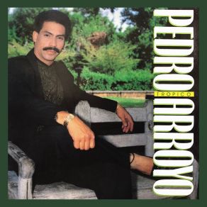 Download track No Cambio Tu Amor Por Nada Pedro Arroyo