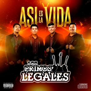 Download track Hay Que Disfrutar Los Primos Legales