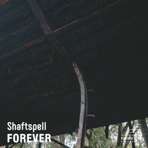 Download track Forever (Bristol Skank Remix) ShaftspellBristol Skank