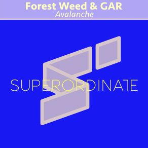 Download track Avalanche (Original Mix) Forest Weed, Gar