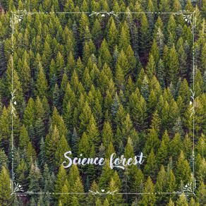 Download track Science Forest N° 1 Symphonyies