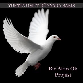 Download track Arsızlar Nara